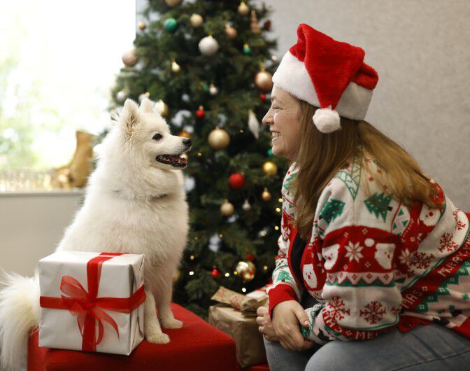 Paw-liday Moments with Purina